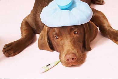 射击游戏《法外枭雄：滚石城》6月15日登陆主机